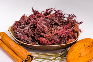 sea moss
